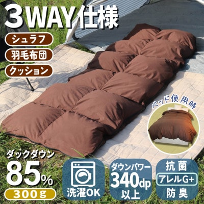 羽毛シュラフ×ダウンケット×ボルスタークッション3WAY寝袋 ダウン85% 軽量タイプ0.3kg