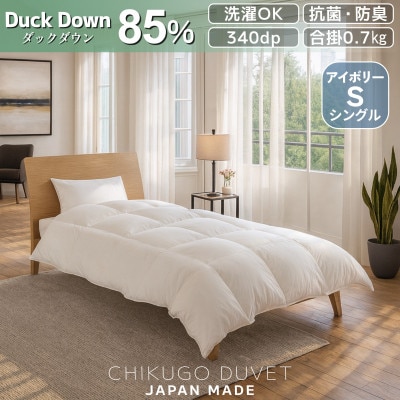 抗菌ダックダウン85% 0.7kg 洗える合い掛け羽毛布団シングル (アイボリー無地)