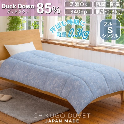 抗菌ダックダウン85% 0.3kg 洗える肌掛け羽毛布団シングル (ブルー系)