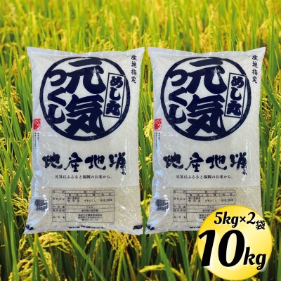 【令和6年産】元気つくし(精米)10kg (5kg×2袋)
