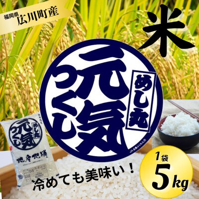 【令和6年産】元気つくし(精米)5kg (5kg×1袋)