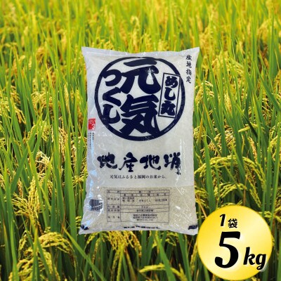 【令和6年産】元気つくし(精米)5kg (5kg×1袋)