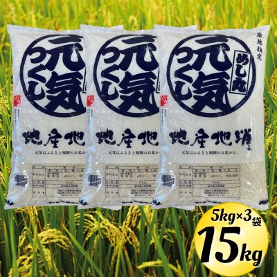 【令和6年産】元気つくし(精米)15kg (5kg×3袋)