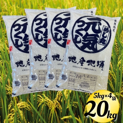 【令和6年産】元気つくし(精米)20kgパック