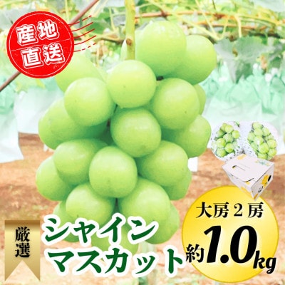 【2025年9月上旬より順次発送】シャインマスカット大房2房 約1kg(広川町)