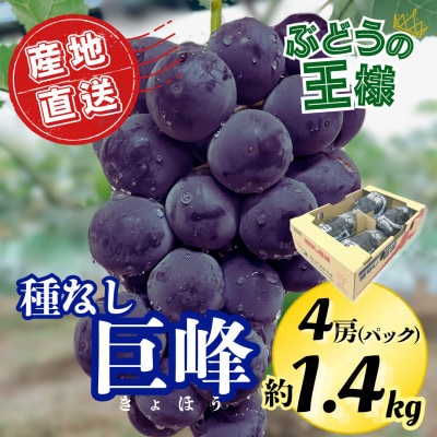 【2025年7月より順次発送開始】種なし巨峰の甘さと食感を堪能 約1.4kg　先行予約(広川町)