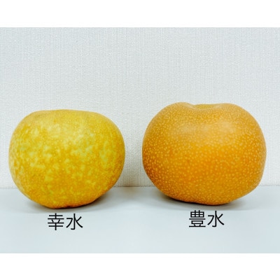 【2025年8月下旬より順次発送】豊水梨5kgケース 果汁多めの甘くてジューシーな味わい(広川町)