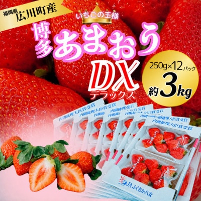 【2027年2月上旬より順次発送】博多あまおう6ケース(250g×12パック) 約3kg(広川町)