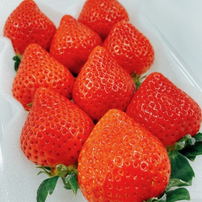 【2027年2月上旬より順次発送】博多あまおう6ケース(250g×12パック) 約3kg(広川町)