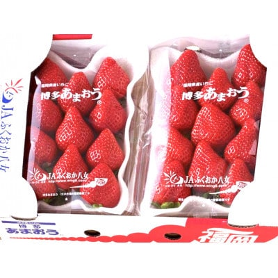 【2027年2月上旬より順次発送】博多あまおう6ケース(250g×12パック) 約3kg(広川町)