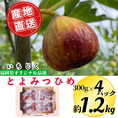 【2026年9月中旬より発送】とよみつひめ 約1.2kg(約300g×4パック)(広川町)