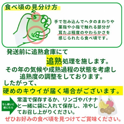 博多甘熟娘(うれっこ)15玉化粧箱(広川町)