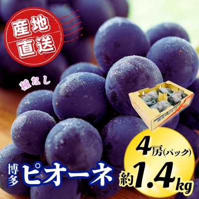 【2026年7月下旬より順次発送】先行予約★ピオーネ大粒黒ぶどう 4パック計約1400g(広川町)