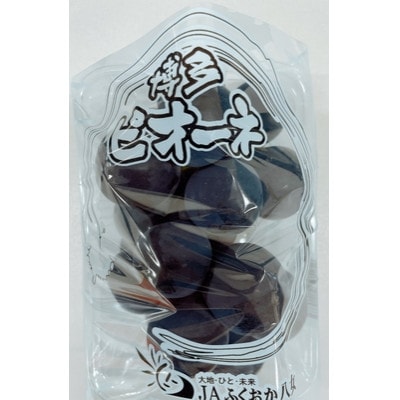 【2026年7月下旬より順次発送】先行予約★ピオーネ大粒黒ぶどう 4パック計約1400g(広川町)