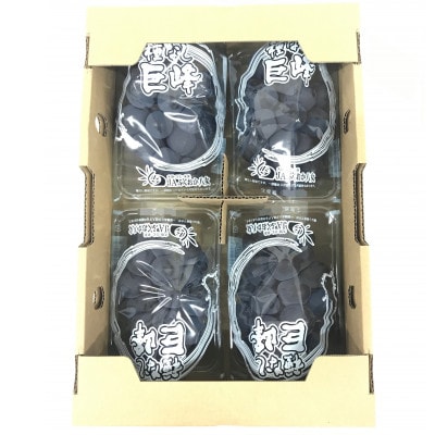 【2026年7月より順次発送開始】種なし巨峰の甘さと食感を堪能 約1.4kg　先行予約(広川町)