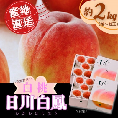 【2026年6月より順次発送】先行予約 桃(日川白鳳) 化粧箱入 約1.0kg×2箱(広川町)