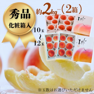 【2026年6月より順次発送】先行予約 桃(日川白鳳) 化粧箱入 約1.0kg×2箱(広川町)