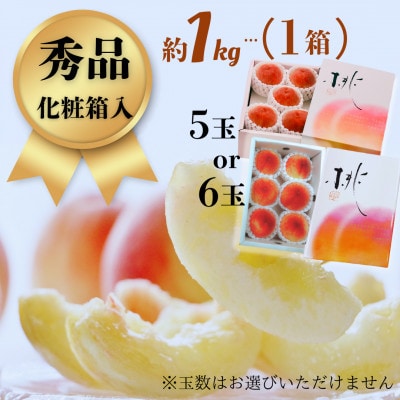 【2026年6月より順次発送】先行予約 産地直送 桃(日川白鳳) 化粧箱入り 約1.0kg(広川町)