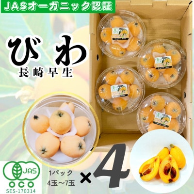 【2026年4月下旬より順次発送】有機JAS認証びわ 4パック計1.0kg(品種:長崎早生) 広川町