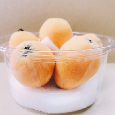 【2026年4月下旬より順次発送】有機JAS認証びわ 4パック計1.0kg(品種:長崎早生) 広川町