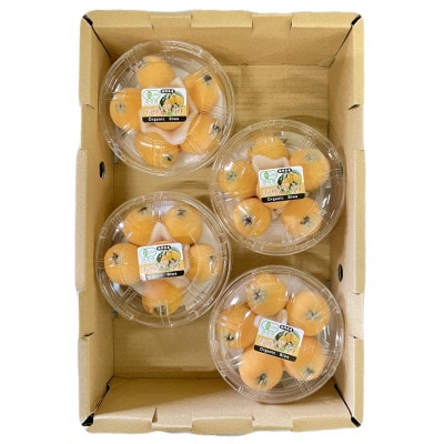 【2026年4月下旬より順次発送】有機JAS認証びわ 4パック計1.0kg(品種:長崎早生) 広川町