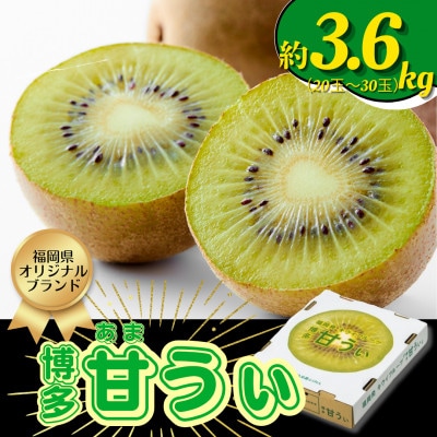 【2026年11月上旬発送開始】甘さ溢れるキウイフルーツ博多甘うぃ計3.6kg(20～30玉)広川町