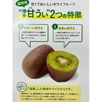 【2026年11月上旬発送開始】甘さ溢れるキウイフルーツ博多甘うぃ計3.6kg(20～30玉)広川町