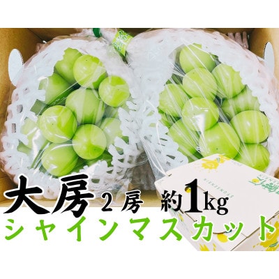 【2026年9月上旬より順次発送】シャインマスカット大房2房 約1kg(広川町)