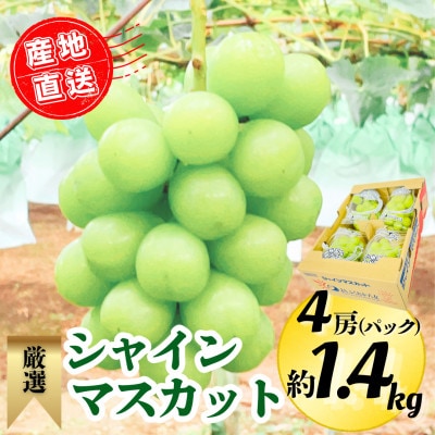 【2026年8月下旬より順次発送】シャインマスカット4P 約1.4kg(広川町)