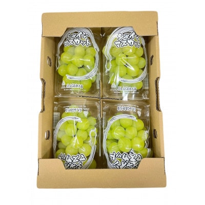 【2026年8月下旬より順次発送】シャインマスカット4P 約1.4kg(広川町)