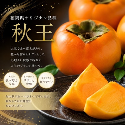 【2026年10月下旬より発送】福岡県産 秋王 約3.5kg(9～12玉)(広川町)