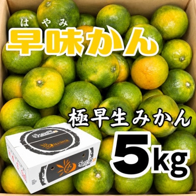 福岡県産 極早生みかん「早味かん」約5kg(広川町)