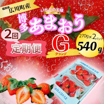【発送月固定定期便】博多あまおうG (270g×2パック)(広川町)全2回