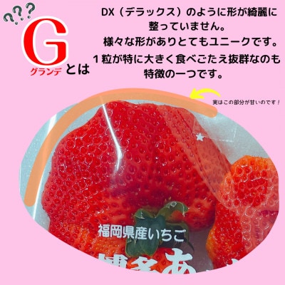 【発送月固定定期便】博多あまおうG (270g×2パック)(広川町)全2回