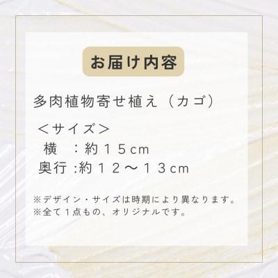 naturオリジナル 多肉植物寄植え(カゴ)1点