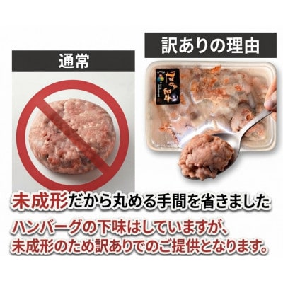 博多和牛ハンバーグの種‼訳あり!300g(広川町)