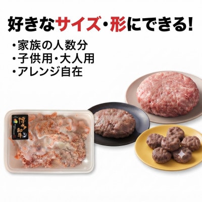 博多和牛ハンバーグの種‼訳あり!600g(300g×2個)(広川町)