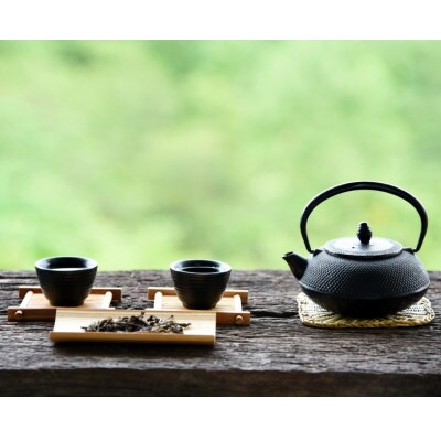 八女茶　煎茶セット　100g×2袋(広川町)