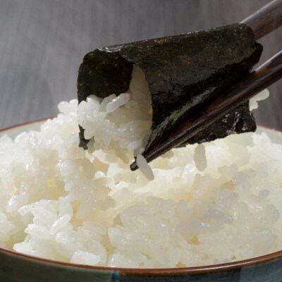 福岡有明のり　梅しそ・明太子・味のりセット8切5枚×各8【合計24Pセット】(広川町)