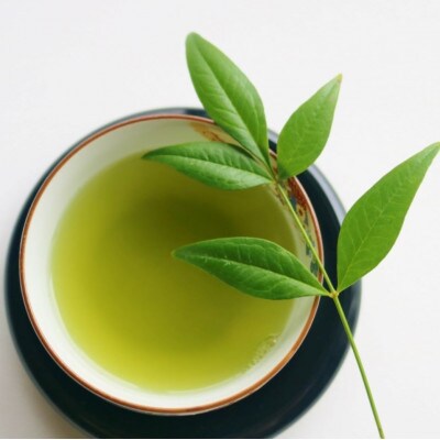 【毎月定期便】八女茶【上】煎茶セット　100g×2袋(広川町)全2回