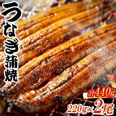 中国産うなぎ蒲焼 計440g