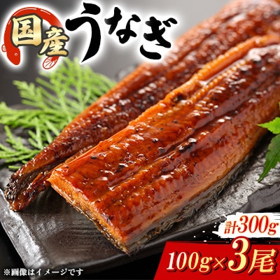 計300g国産鰻