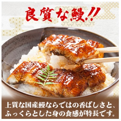 計300g国産鰻