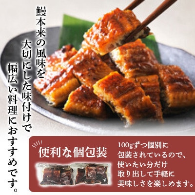 【毎月定期便】中国産 うなぎ刻み蒲焼 計1kg(100g×10パック)　全6回