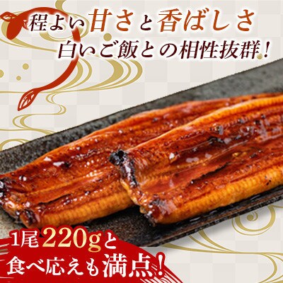 【毎月定期便】中国産うなぎ蒲焼 計440g(220g×2尾)全6回