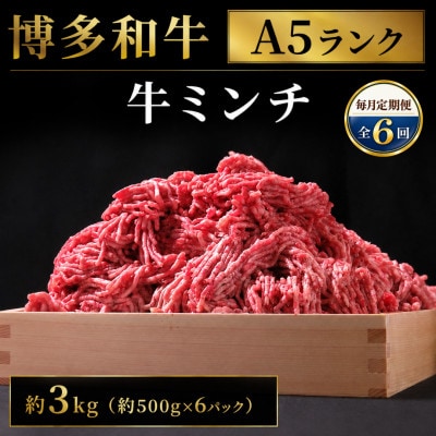 【毎月定期便】博多和牛 牛ミンチ約3kg(約500g×6パック)(広川町)全6回