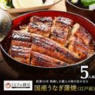 うなぎの蒲焼 (江戸前) 5尾セット【うなぎの柳川】