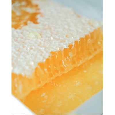 ハンガリー産巣房蜜340g