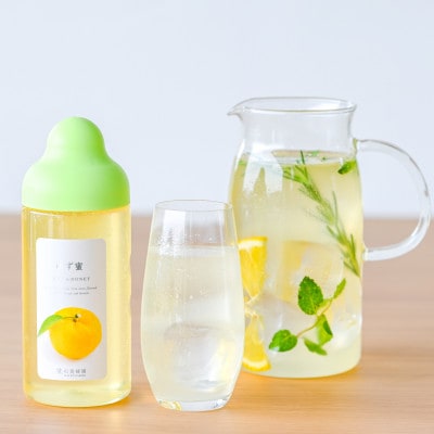 【ゆず蜜】【シャインマスカット&ハニー】果汁入りはちみつ 各500g 2種食べ比べ