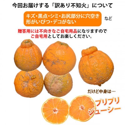 訳あり 不知火 計7kg 【2025年1月下旬から2025年4月下旬発送予定】【Foody's】